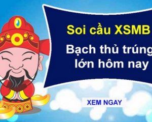 xstd soi cau 2 Nhập hội chuyên xstd soi cầu mong ngày phát tài